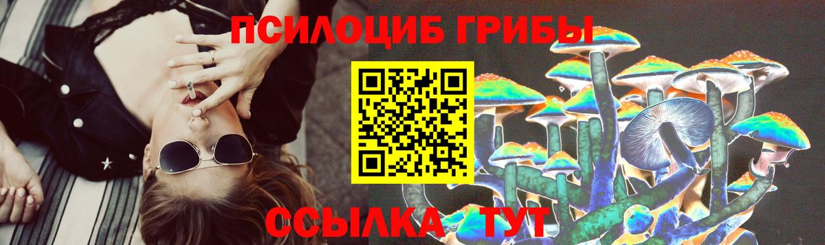 Галлюциногенные грибы Psilocybe  Вход с VPN  Кулебаки 